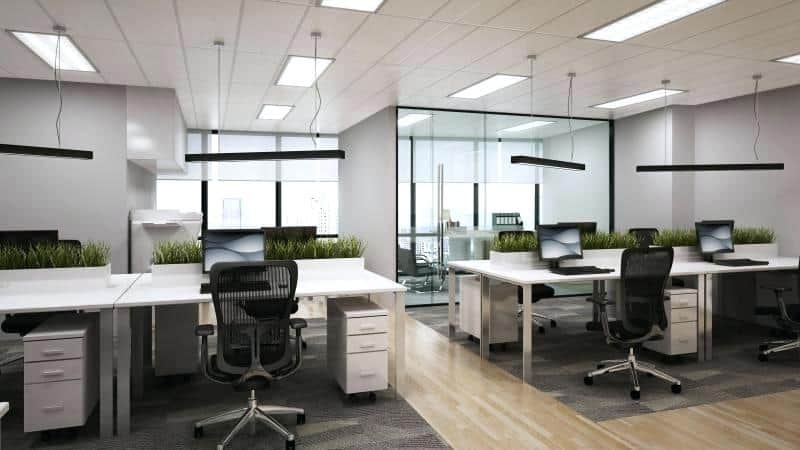 Modern Office Renovation